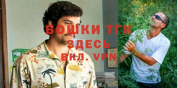 спайс Алексин