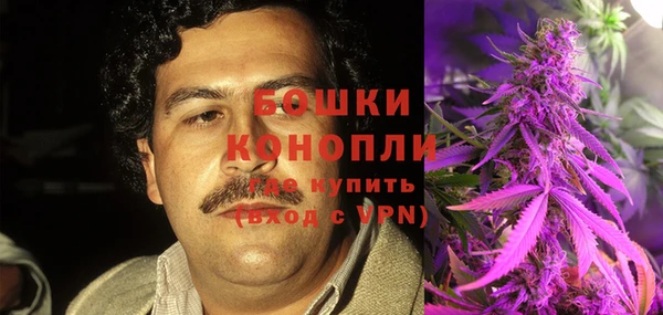 спайс Алексин